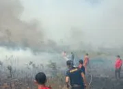 Kebakaran Hutan di Bangka Barat Semakin Berkurang