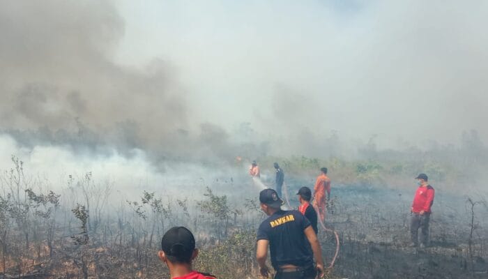 Menhut Tegaskan Kepastian Hukum Pengelolaan Kawasan Hutan
