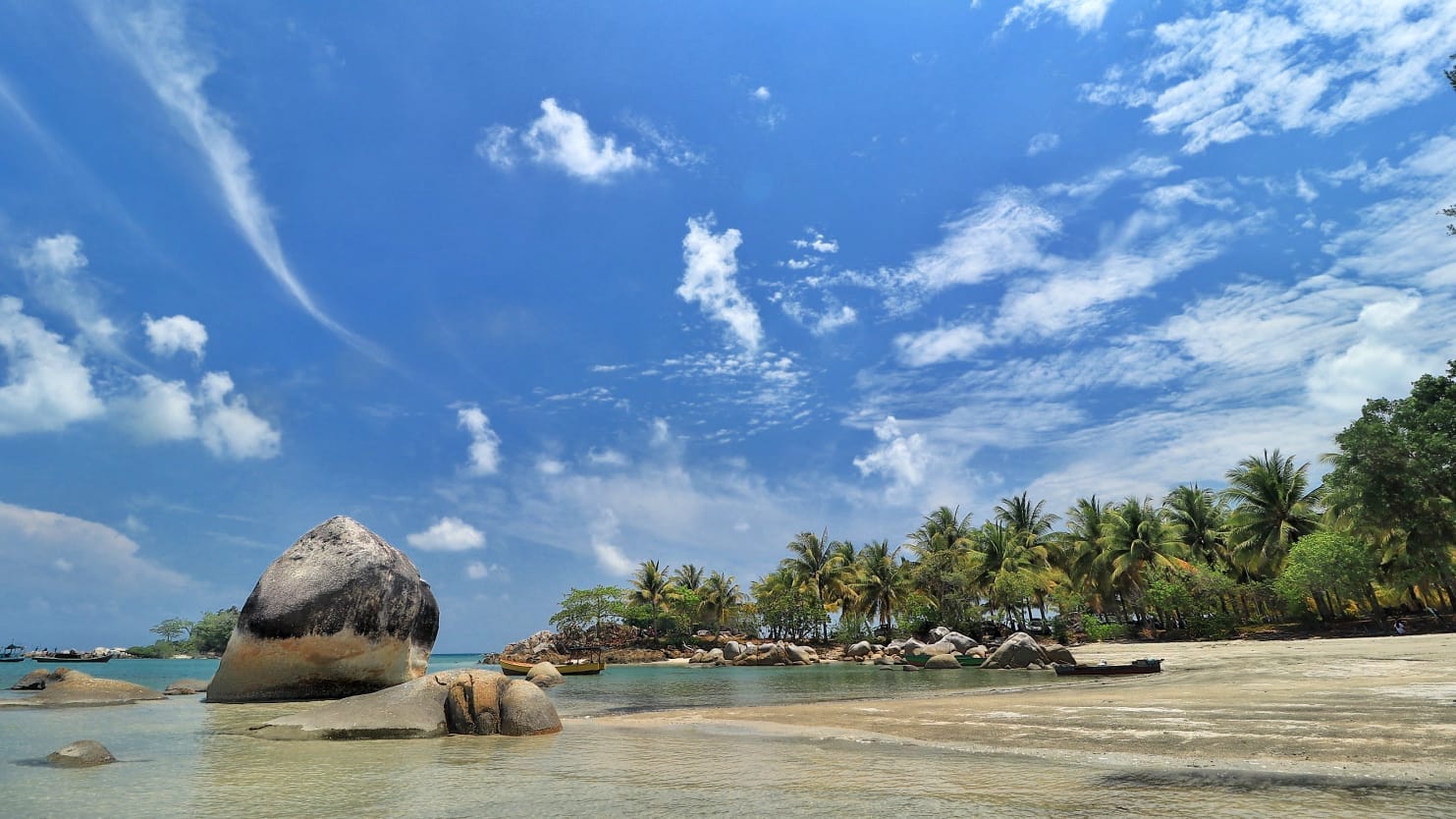 Tersusun rapi barisan pohon kelapa di pesisir pantai semakin menambah kesan alami Pantai Bio.