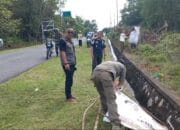 Di Masa Tenang, Bawaslu Babar Bersihkan APK yang Masih Terpasang