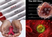 53 orang Warga Beltim Terinfeksi Virus HIV/AIDS, 24 Diantaranya Positif Didominasi Laki-Laki