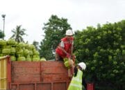 Rutin Cek Kondisi Lapangan, Pertamina Patra Niaga Regional Sumbagsel Pastikan Ketersediaan LPG di wilayah Belitung