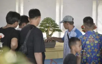 Kenalkan Tanaman Endemik Bangka Barat, Komunitas Bonsai Lestari Gelar Pameran di SMP Santa Maria