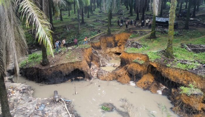 Begini Kronologis Lakatambang Tragis di Lahan Milik PT. GSBL, Ekcy Sebut Tak Kantongi Izin