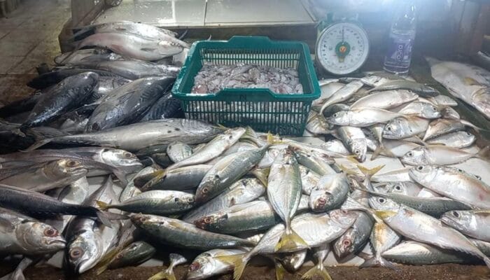 Pedagang Ikan Segar Pasar Mentok Keluhkan Sepi Pembeli
