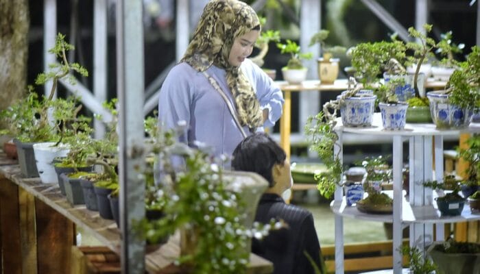 BBF 2024, Kenalkan Peluang Ekonomi Tanaman Bonsai ke Kawula Muda