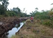 Rencana Pembukaan Perkebunan Sawit di Desa Air Nyatoh Belum Temui Kesepakatan