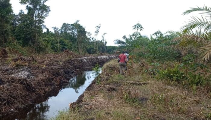 Rencana Pembukaan Perkebunan Sawit di Desa Air Nyatoh Belum Temui Kesepakatan