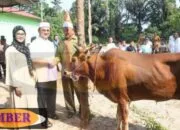 Serahkan Tiga Hewan Kurban, Melati Erzaldi Semangat Tebarkan Kebaikan