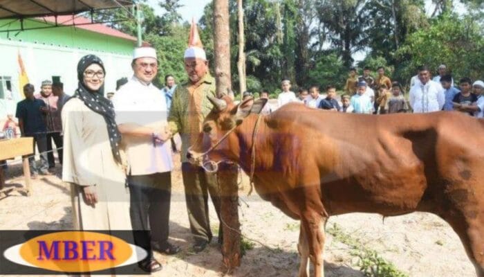 Serahkan Tiga Hewan Kurban, Melati Erzaldi Semangat Tebarkan Kebaikan