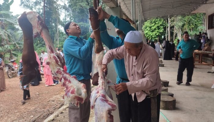 Ekonomi Lesu, Jumlah Hewan Kurban di Pangkalbuluh Menurun
