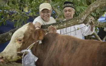 Kumpulan Foto Rangkaian Perayaaan Idul Adha 1445 Hijriah di Bangka Barat