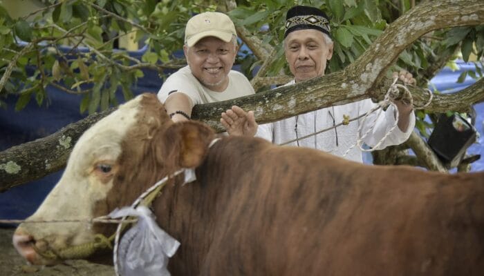 Kumpulan Foto Rangkaian Perayaaan Idul Adha 1445 Hijriah di Bangka Barat