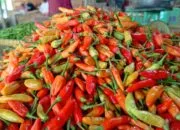 Jelang Idul Adha, Harga Kebutuhan Pokok di Pasar Tradisional Mentok Relatif Stabil