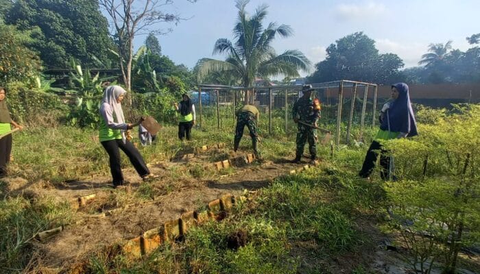 Babinsa Koramil 431-02/Muntok, Bantu Warga Senang Hati Buka Lahan Perkebunan