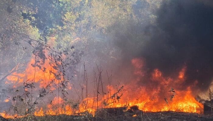 Objek Wisata Bukit Kukus Mentok Terbakar
