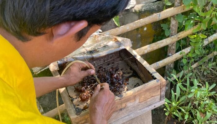 Pertamina Komitmen Melestarikan Alam dan Kesejahteraan Masyarakat Melalui Budidaya Lebah Madu Trigona