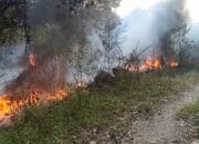 Kebakaran di Objek Wisata Bukit Kukus, Api Mendekati Pemukiman Warga