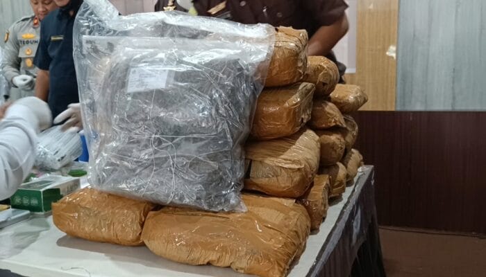 Kejari Babar Musnahkan Barang Bukti Inkrah, Ganja 22 Kilogram Dibakar