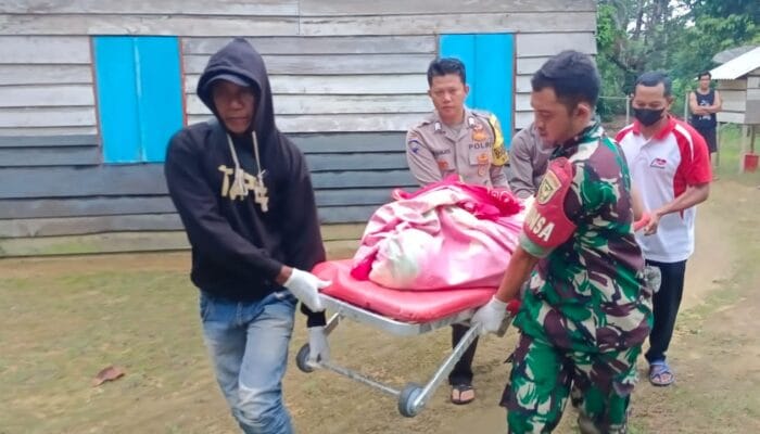 Pelaku Pembunuhan IRT di Bangka Barat Diduga ODGJ