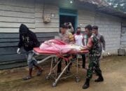 IRT di Babar Tewas dengan Luka di Kepala dan Dada, Diduga Dibunuh