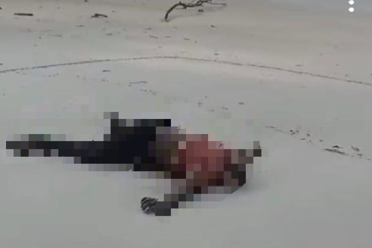 Caption : penemuan mayat yang terdampar di pesisir Pantai Jerangkat, Kecamatan Jebus, Kabupaten Bangka Barat. Foto : Istimewa.