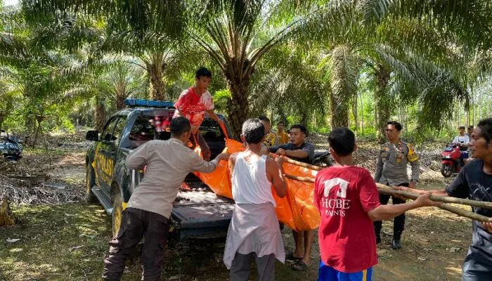 Polsek Kelapa Selidiki Penyebab Kakek 60 Tahun Bunuh Diri di Pondok Kebun