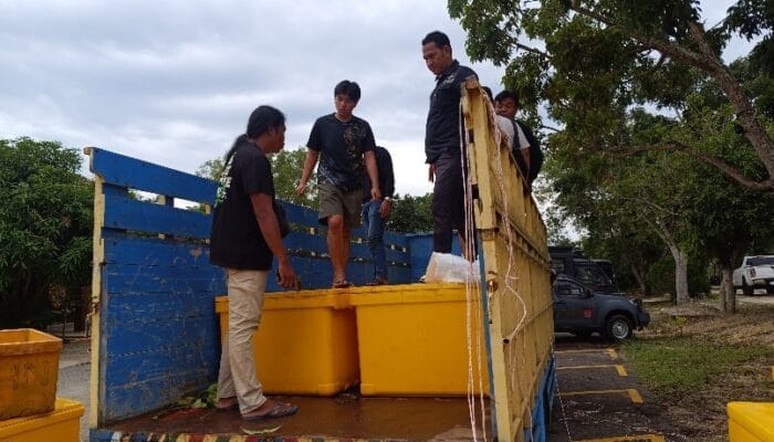 Tim Gabungan Gagalkan Penyelundupan Timah di Pelabuhan Tanjung Kalian Mentok