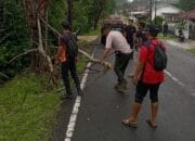 Karyawan PT. Timah yang Tertimpa Pohon Tumbang Dirujuk ke Pangkalpinang