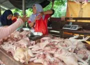 Ayam di pasar Belitung. Foto: Julian.