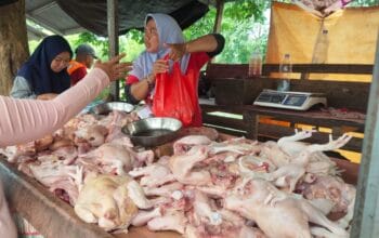 Ayam di pasar Belitung. Foto: Julian.