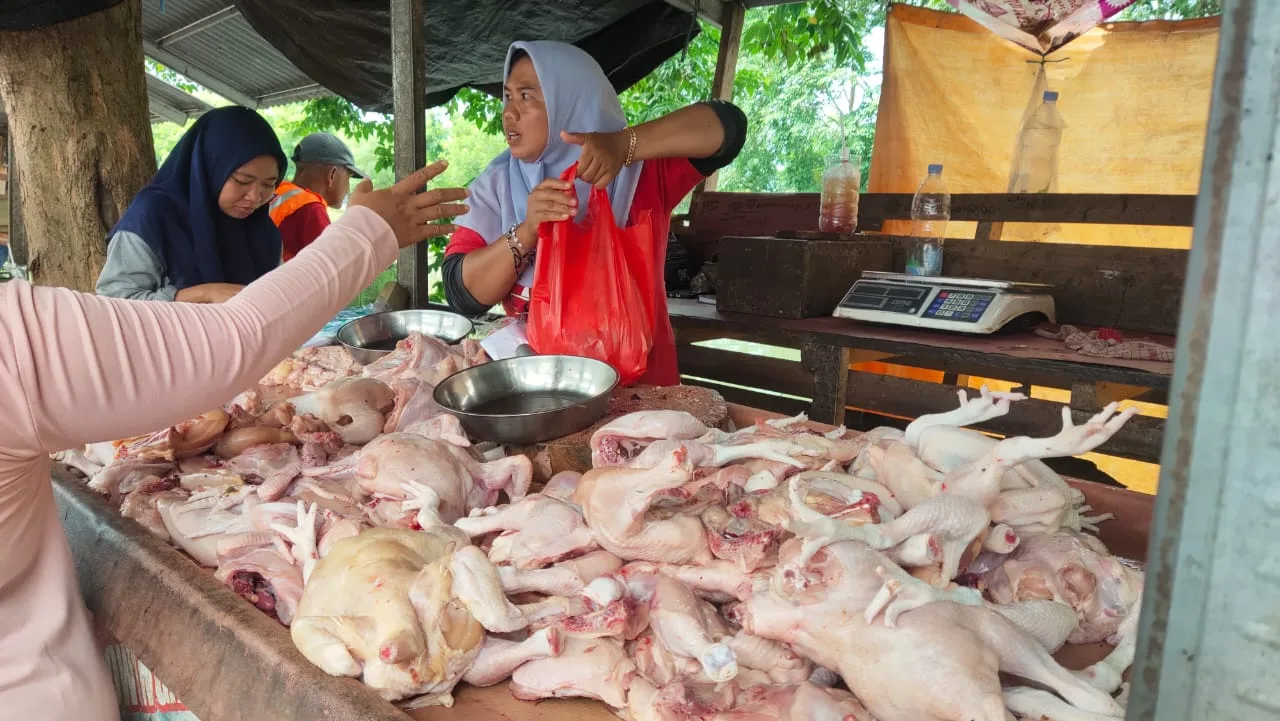 Ayam di pasar Belitung. Foto: Julian.