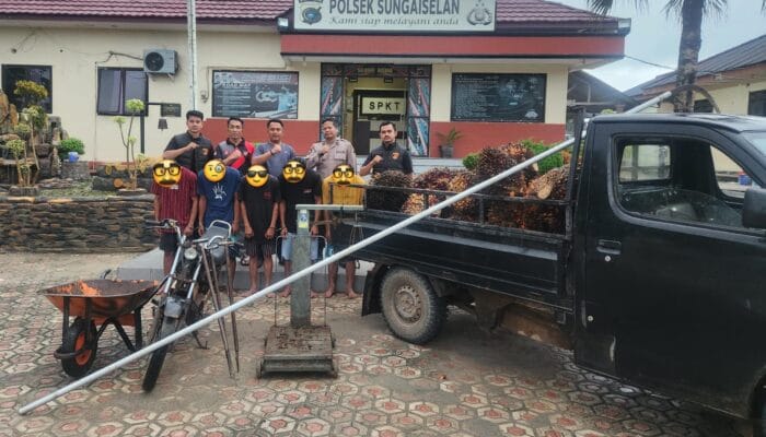Polisi Ringkus Komplotan Pencuri Buah Sawit, Salah Satu Pelaku Oknum Kadus