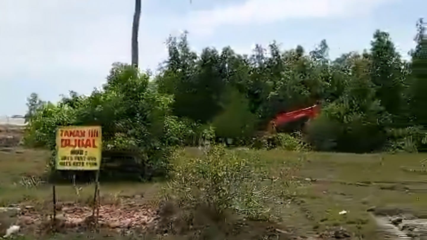 Alat berat yang beraktivitas di Bakau Pantai Baru. Foto: Istimewa.