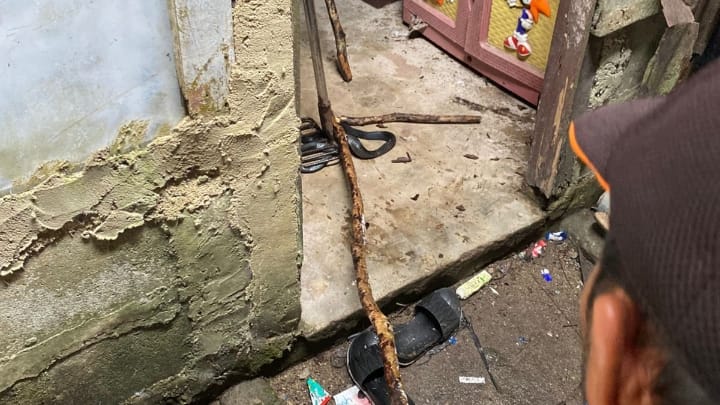 Petugas mengevakuasi ular masuk rumah warga Belo Laut. Foto: Istimewa.