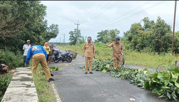 Pemprov Babel Segera Perbaiki Jembatan Rusak di Parittiga
