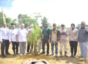 Pemdes Belo Laut – PT GSBL Kolaborasi Buka Kebun Sawit Seluas 32 Hektar