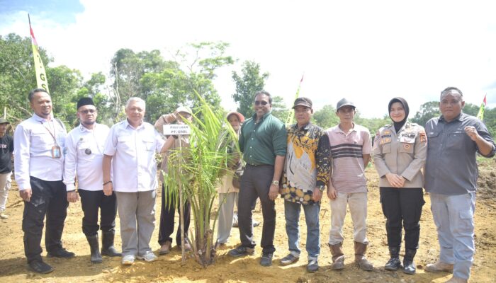 Pemdes Belo Laut – PT GSBL Kolaborasi Buka Kebun Sawit Seluas 32 Hektar