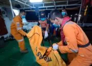 Bocah 7 Tahun di Bangka Belitung yang Diterkam Buaya Ditemukan Tewas
