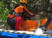 Petugas Evakuasi Mayat dengan Kondisi Tak Utuh, Diduga Korban Serangan Buaya