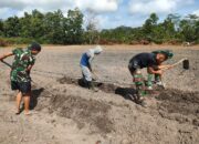 Kodim 0431/Bangka Barat Lanjutkan Pengerjaan Lahan Ketahanan Pangan untuk Masyarakat