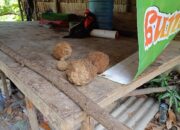 Warga Mentok Temukan Benda Mirip Bom di Sungai