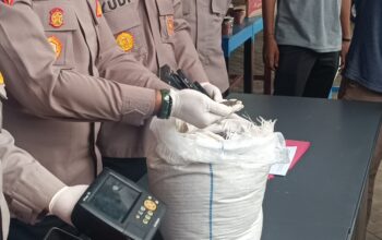 Ilustrasi penyelundupan timah. Foto: Rizki Ramadhani