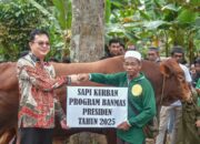 Markus Serahkan Sapi Kurban Presiden Prabowo ke Masyarakat
