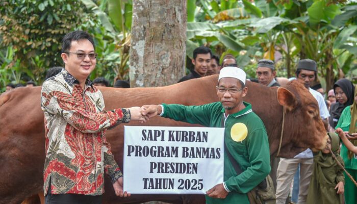 Markus Serahkan Sapi Kurban Presiden Prabowo ke Masyarakat