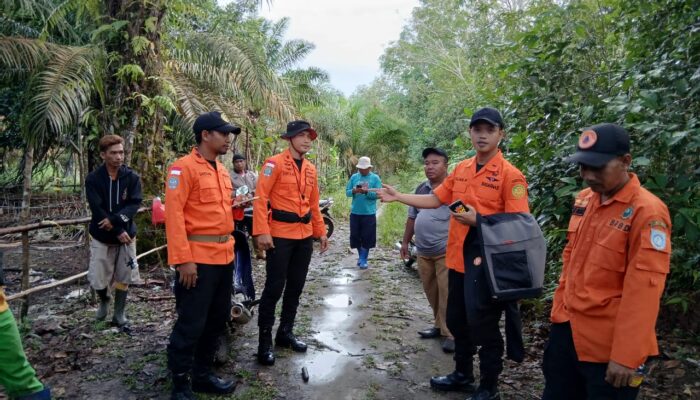 Tim SAR Cari Remaja Hilang di Perkebunan Kelapa Sawit Bangka Barat
