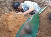 Warga Babar Dihebohkan Penemuan Guci Berisi Diduga Kerangka Manusia