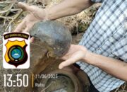 Penjelasan Polisi Soal Penemuan Kerangka Manusia di Dalam Guci