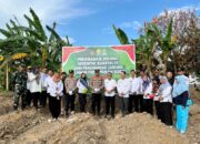 Tanam Jagung Serentak Kuartal III, Pemkab Babar Dukung Program Ketahanan Pangan Nasional