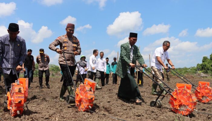 Polres Bangka Barat Dukung Swasembada Pangan Lewat Penanaman Jagung di Ponpes Ta’limul Muta’alim